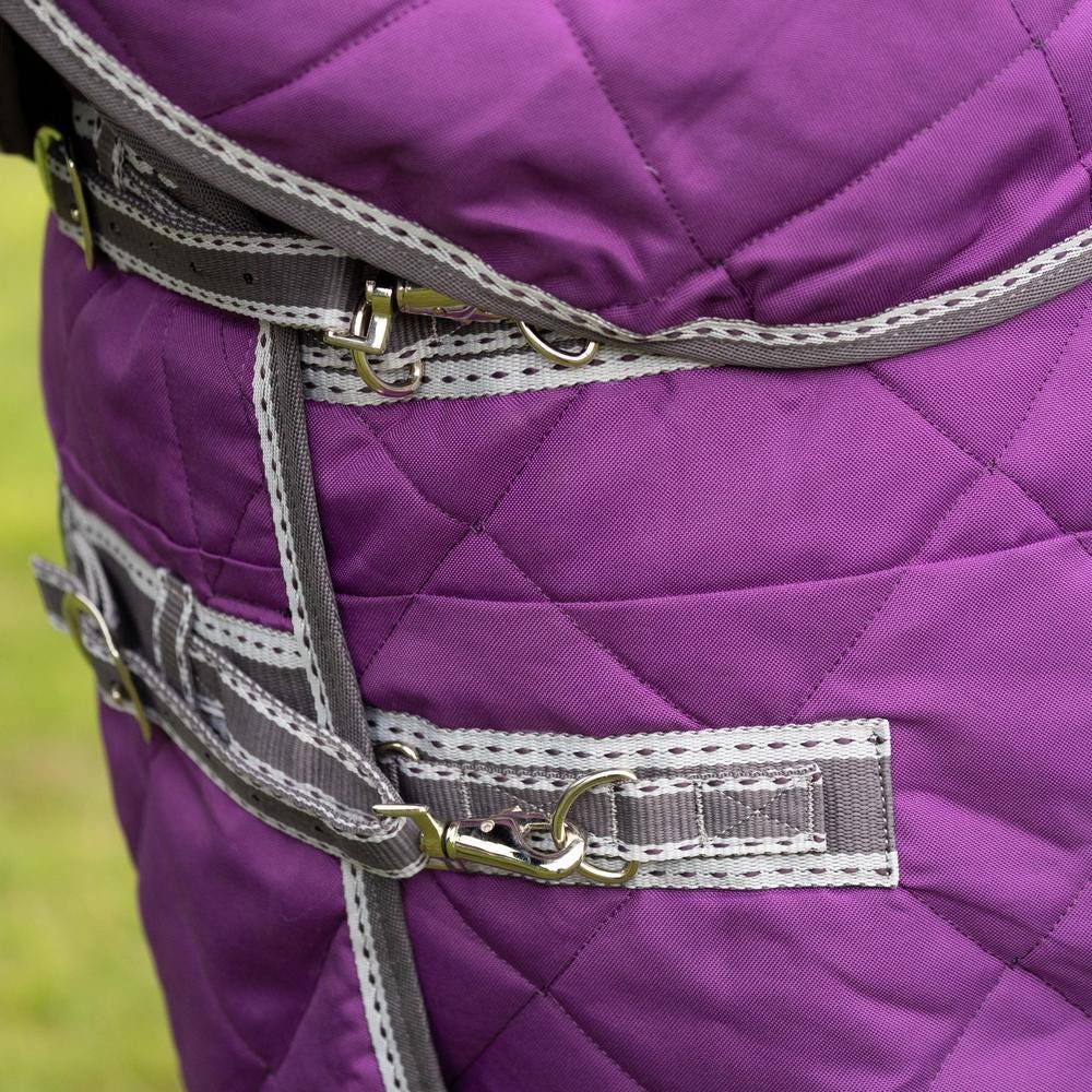 DefenceX Shield 300g Stable Rug with Detachable Neck image 3